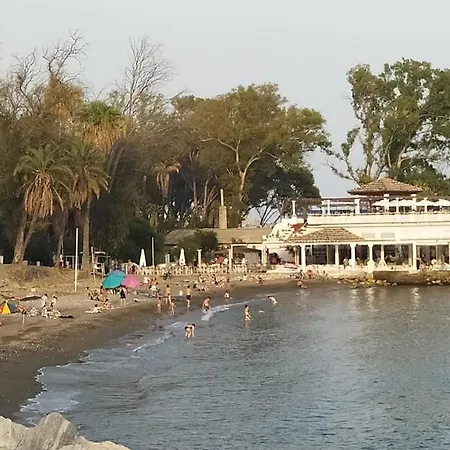 Beach&garden *